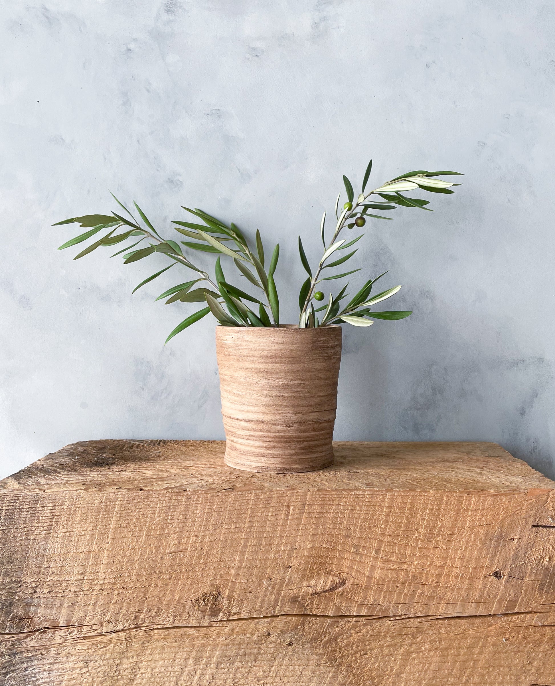 Neutral Toned Ceramic Vase – Perfect for Branches