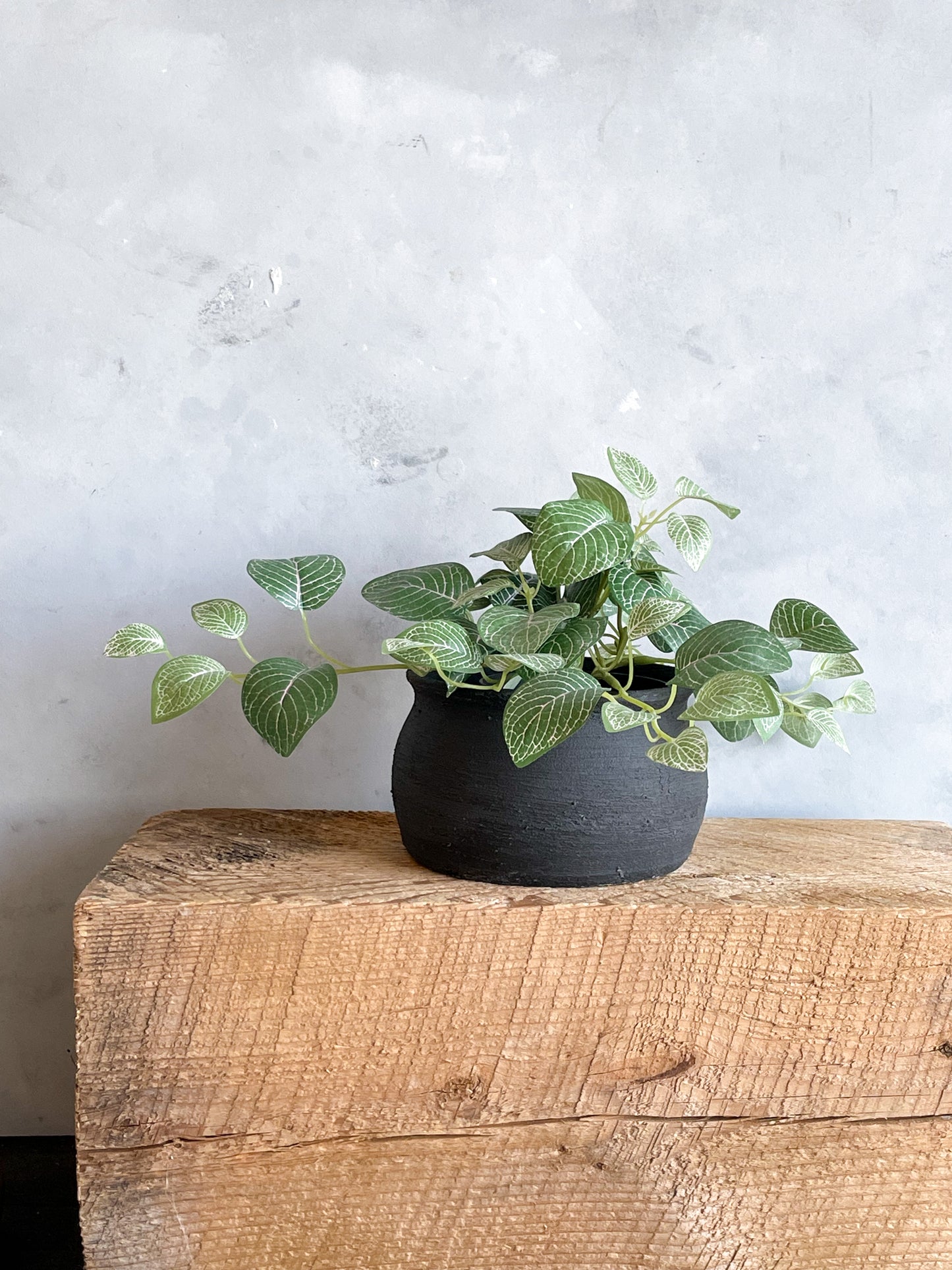 midnight| rustic black textured planter vase 18